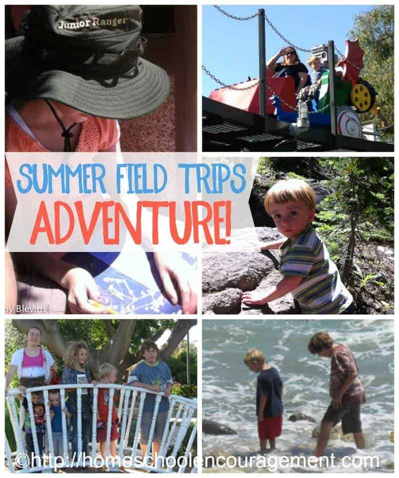 Fun in the Sun The Summer Field Trip Adventure