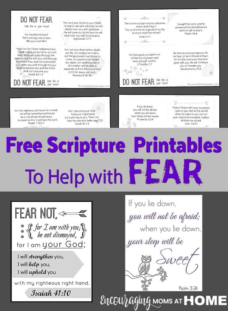 Do Not Fear Printable Scripture Cards And Posters