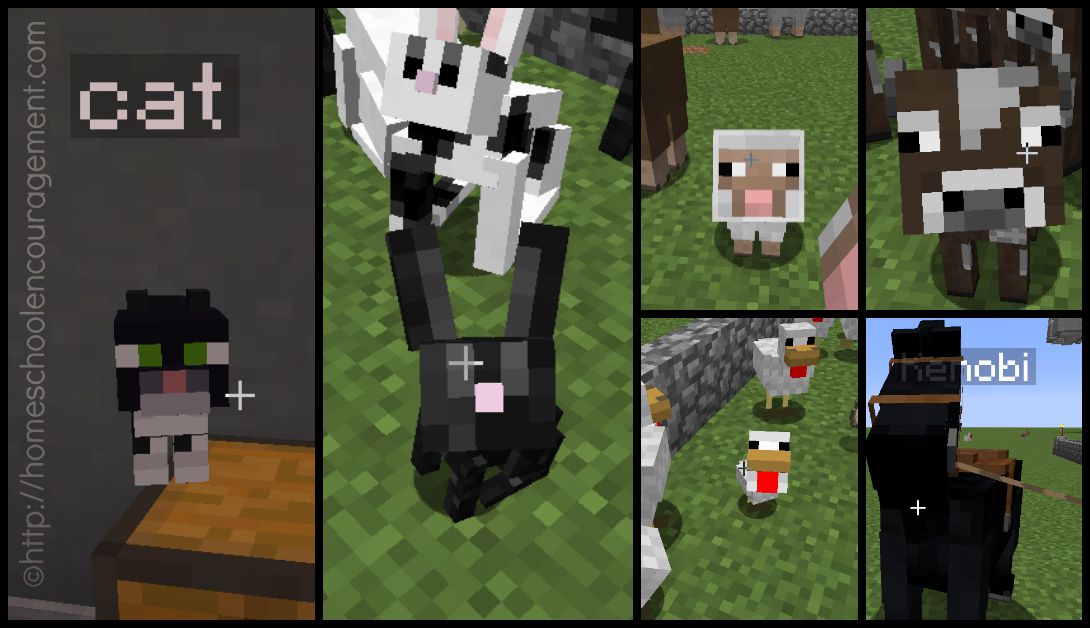 Learning about Farm Animals with Minecraft