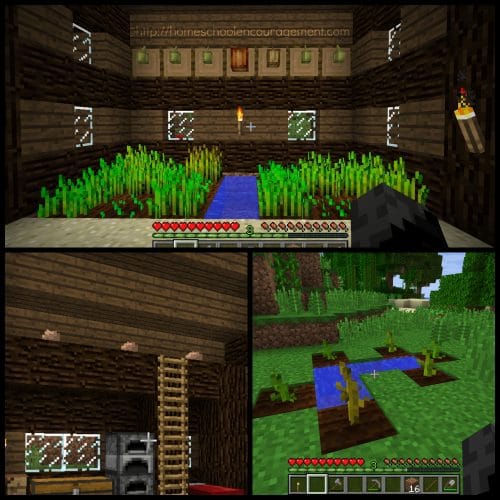 Teaching Gardening for Kids with Minecraft