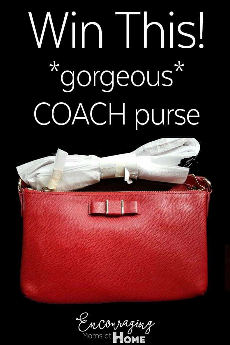 10 Ways to Keep your Purse Clean