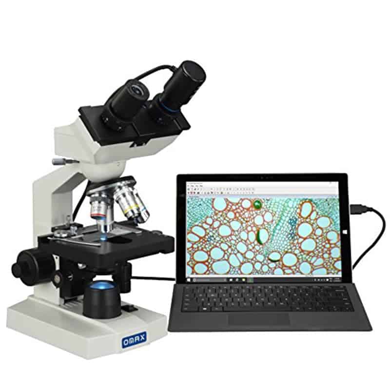 10 Ways to Use a Microscope in your Homeschool