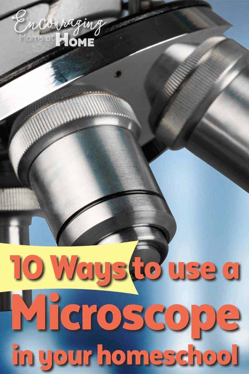 Do you have, or are you purchasing, a microscope for your high school student? Here are 10 fun ways to use a microscope in your homeschool before high school.