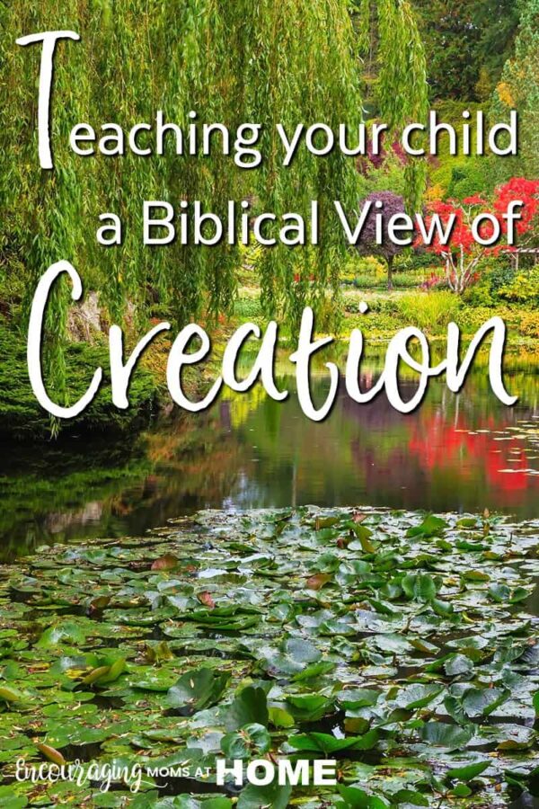 Teaching Your Child a Biblical Creation View