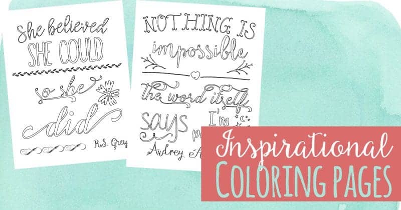 She Believed She Could So She Did Adult Coloring Book with Inspirational  Quotes - Cute Notebooks + Journals