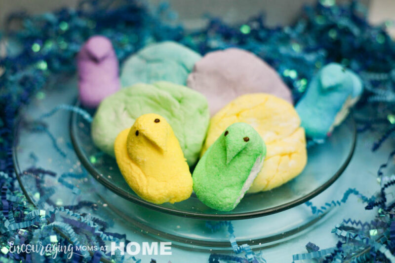 (how to make) Edible homemade playdough out of peeps. Peeps and playdough displayed on a plate with blue confetti.