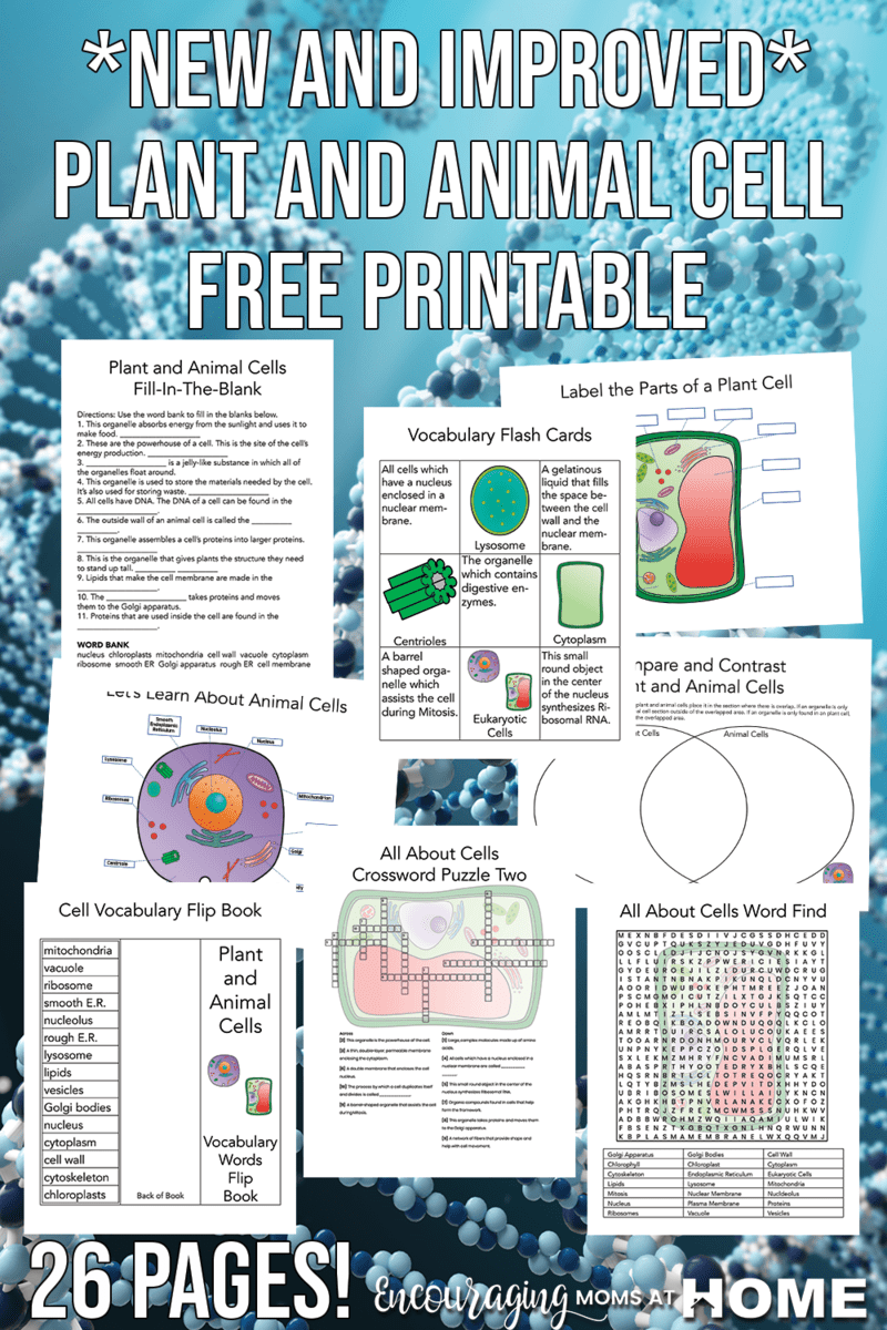 Image showing new and improved pages in the plant and animal cell worksheets free download.